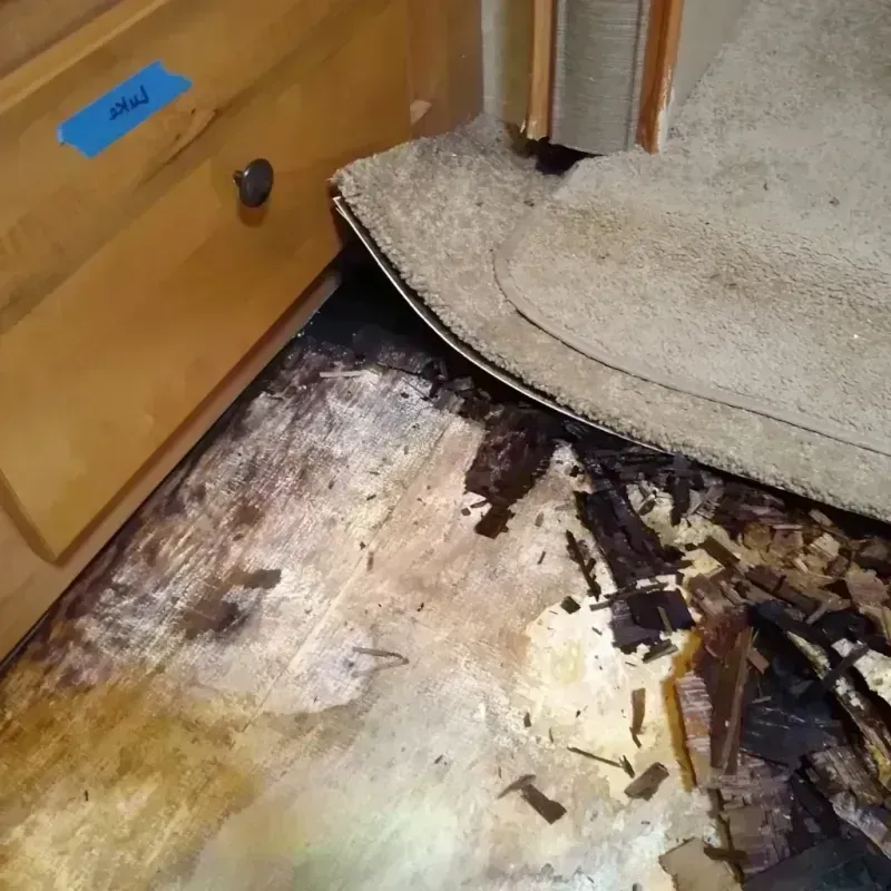 Best Wood Floor Water Damage Service in Haddon Heights, NJ